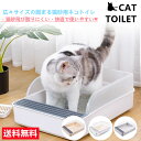 高齢 猫 トイレ