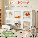 猫 種類 おすすめ