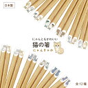 猫 種類 ミヌエット