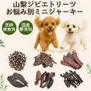 猫 寄生 虫 種類