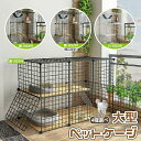 猫 種類 飼いやすい