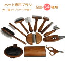 猫 種類 長毛種